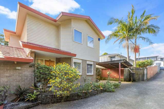 61A Cormack Street Mt Roskill_1