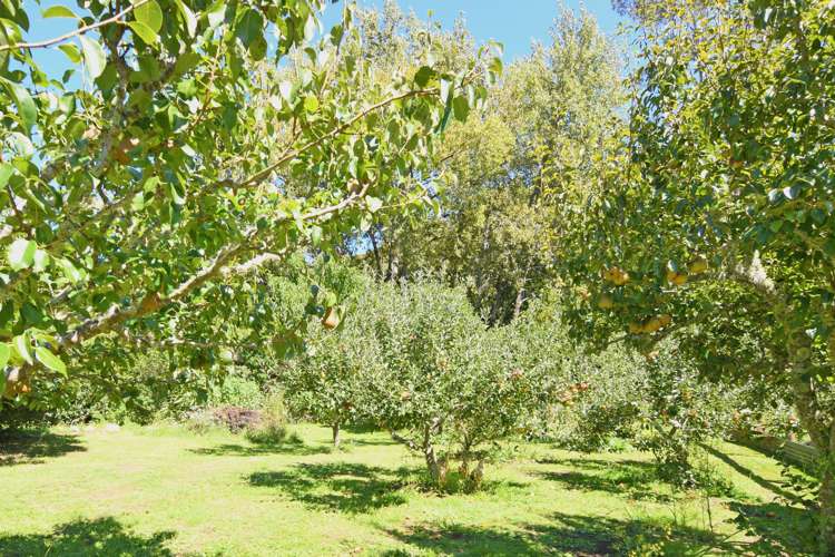 15 Tukurua Road Parapara_33