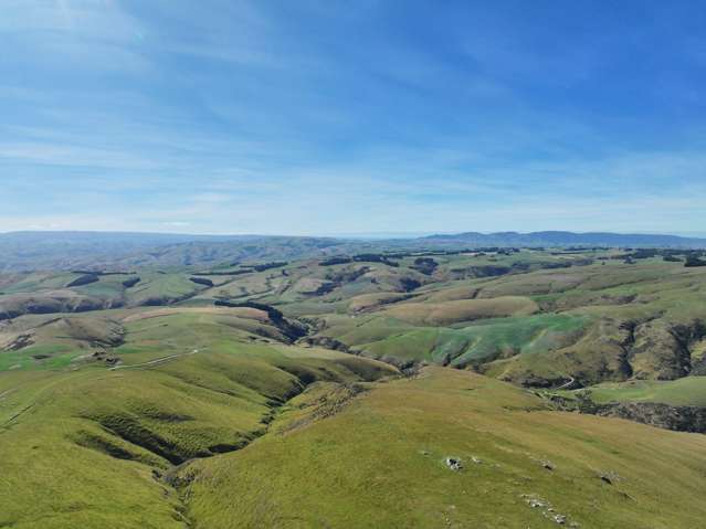 980 Moa Flat Road Moa Flat_2