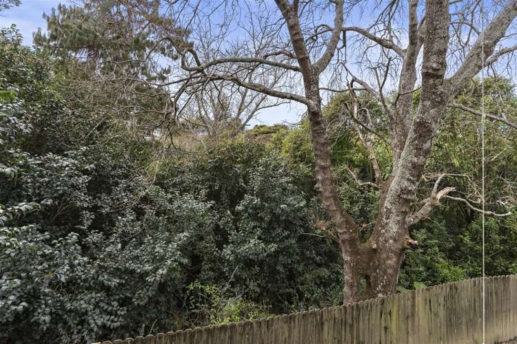 49f Lancaster Road Beach Haven_22