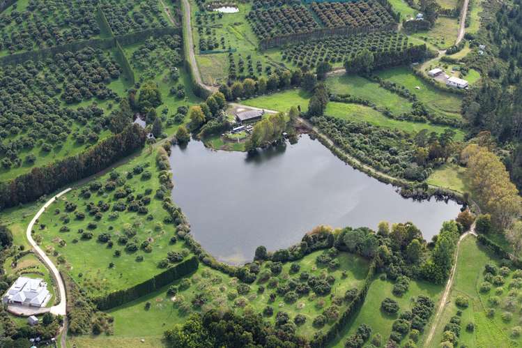 121C Purangi Road Whenuakite_8