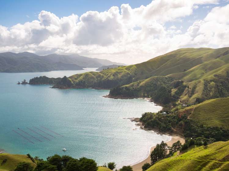 5193 Croisilles-French Pass Road Marlborough Sounds_16