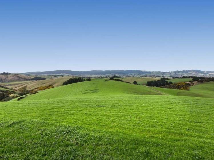 385 North Branch Road Milton_17