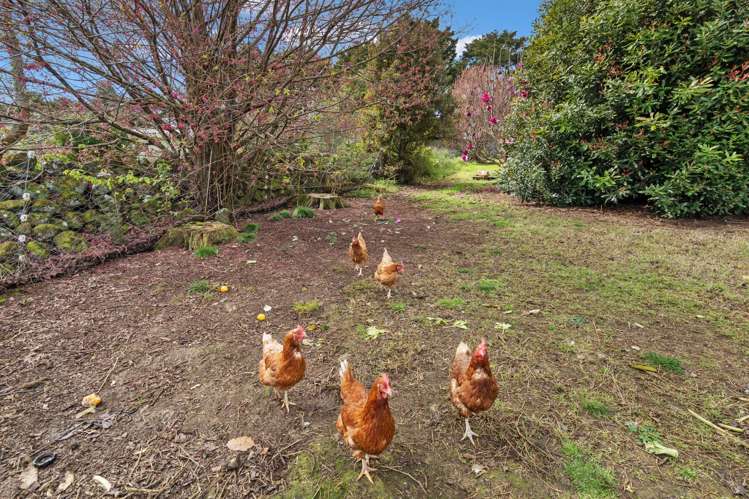 41 Woodward Road Maungatapere_29