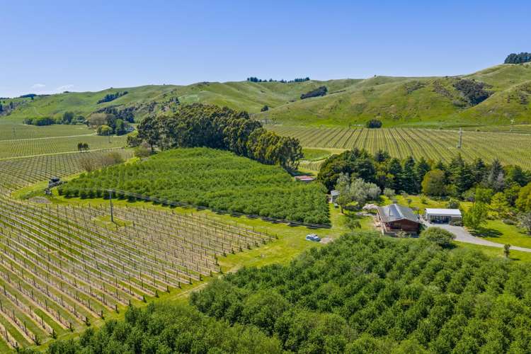 191 Tyntesfield Road Waihopai Valley_27