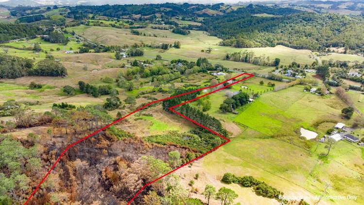 411 Pine Valley Road Dairy Flat_8