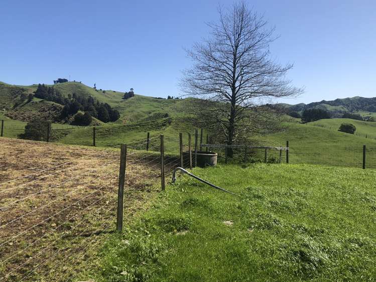 1026 Limeworks Loop Road Karamu_31