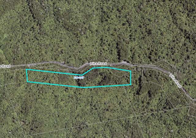 233 Piha Road Piha_1