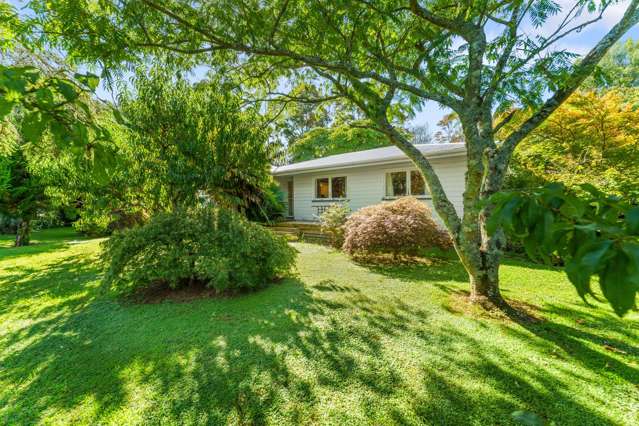 664 State Highway 2 Katikati_3