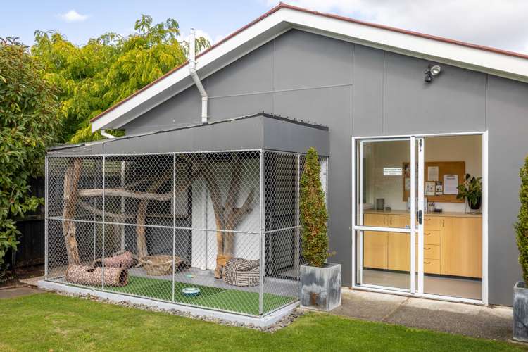 5 Cowper Place Avondale_22