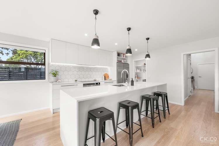 15 Adelaide Street Petone_5