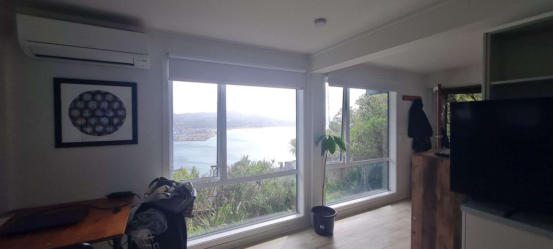 39B Robieson Street Roseneath_0