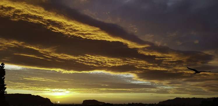 127 Bruce Wallace Place Whangamata_3