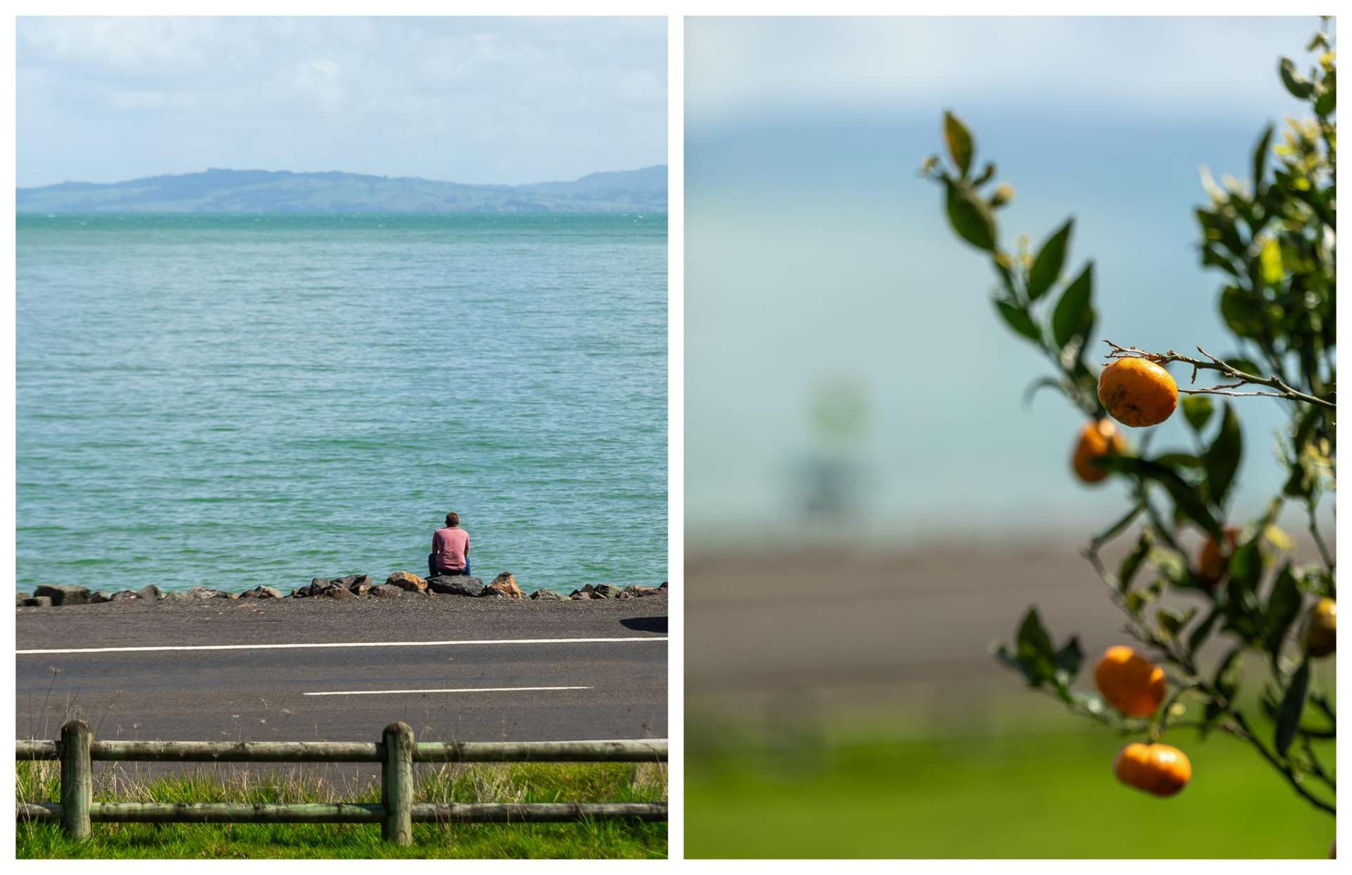 7 Ngarimu Heights Row Thornton Bay_0