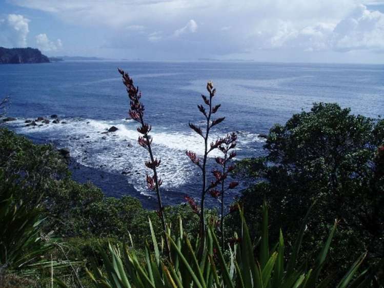 115 Radar Road Hot Water Beach_4