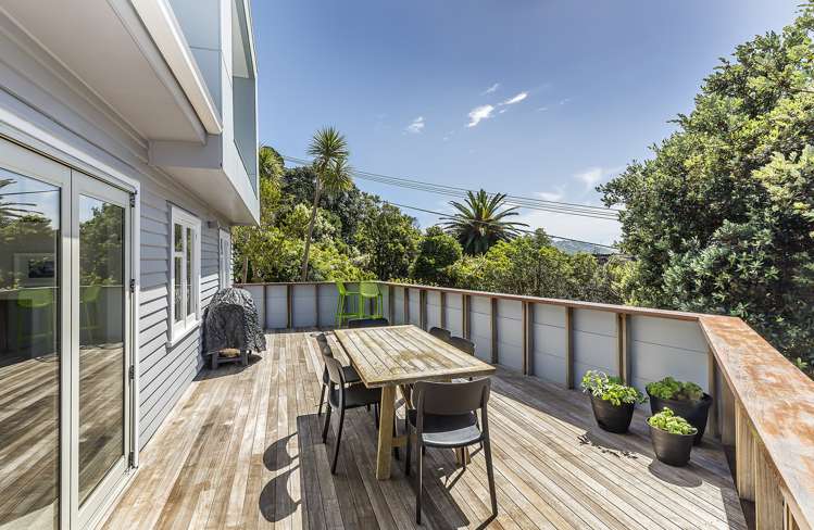 4 Pinnacle Street Seatoun_11