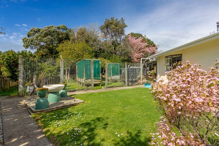 161 Parklands Avenue Bell Block_20