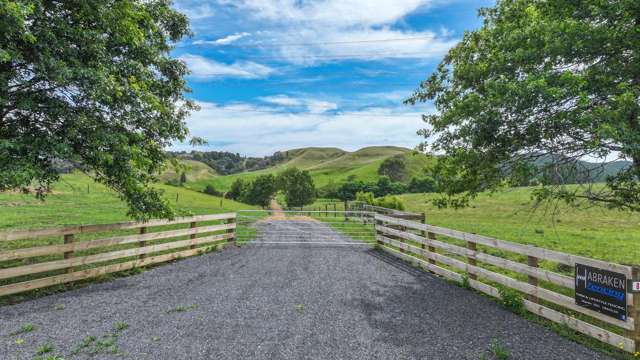 880 Kopuku Road Maramarua Forest_4