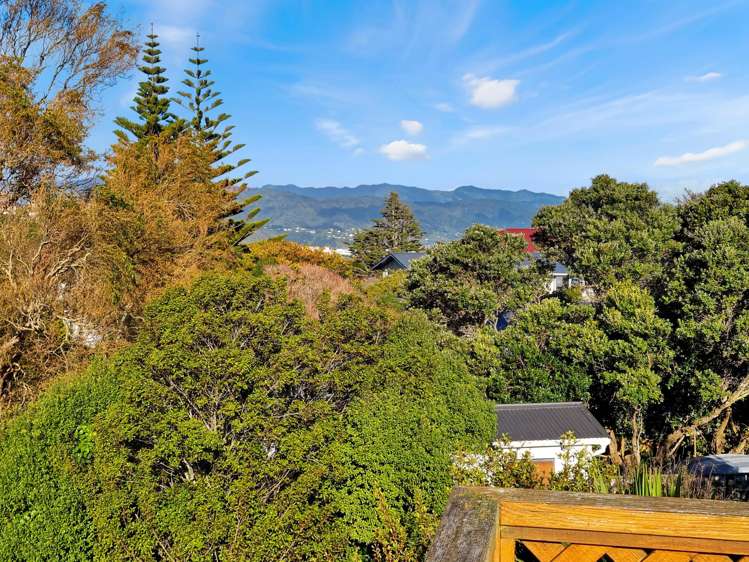 202 Dowse Drive Maungaraki_17