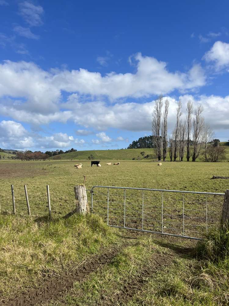 317 Fairburn Road Kaitaia Rd2_27