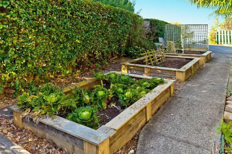 31 Valley View Road Glenfield_21