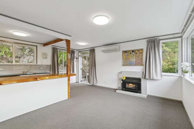 161b Happy Valley Road Owhiro Bay_4