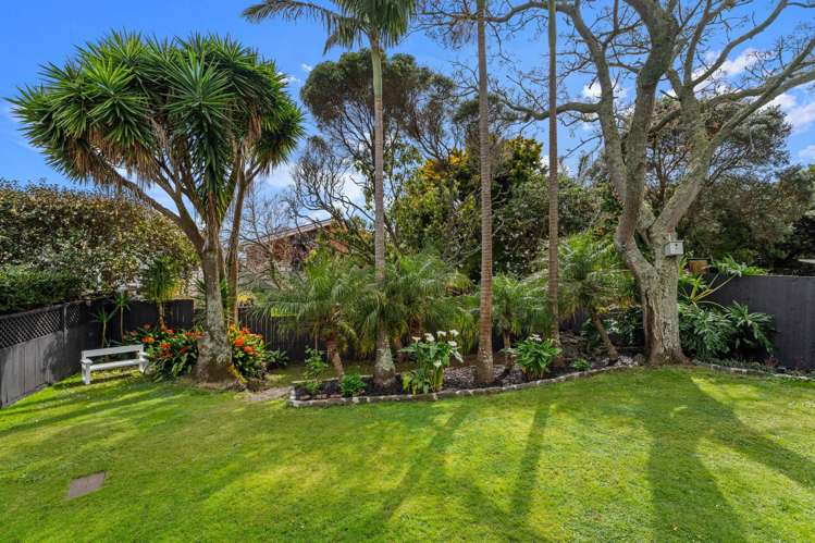77 Marsden Avenue Mount Eden_5