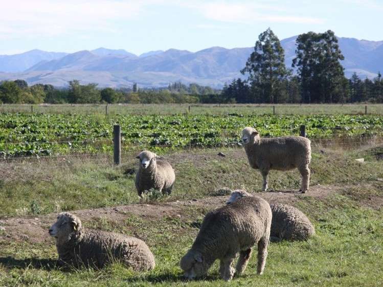 211a Mouse Point Road Culverden_11