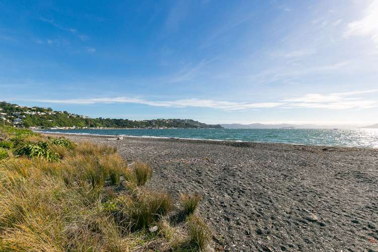 50 Forres Street Seatoun_20