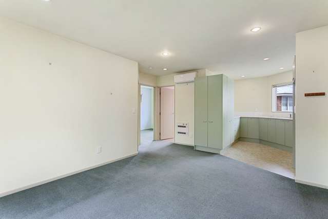 22c Simeon Street Spreydon_3