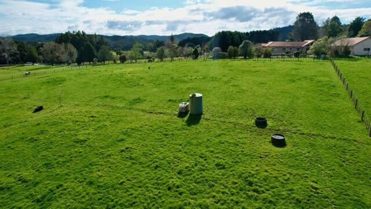 Lot 3 Main Road Kauri_6