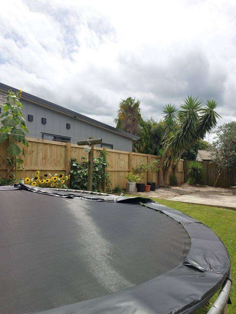 A/91 Scott Street 11373_10