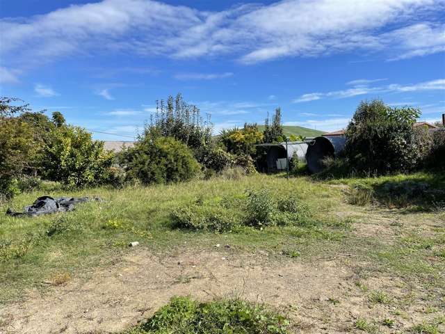 00 McKenzie Avenue Otorohanga_1