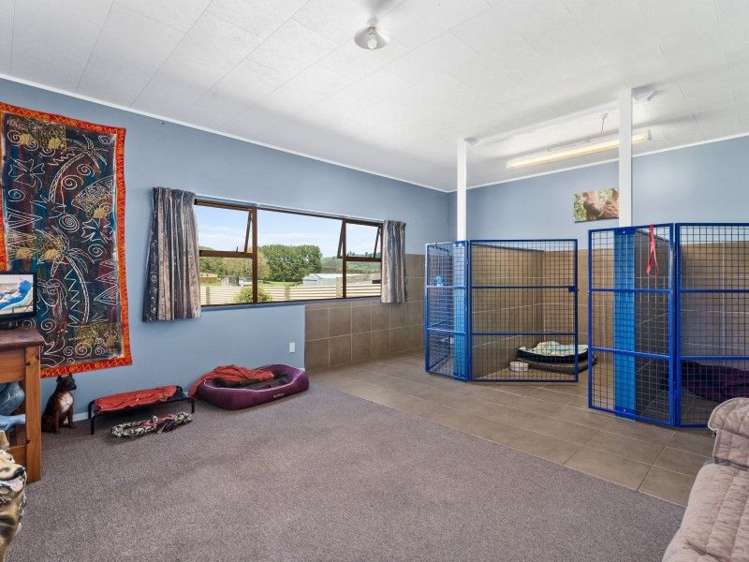 657 Corbett Road Ngakuru_11