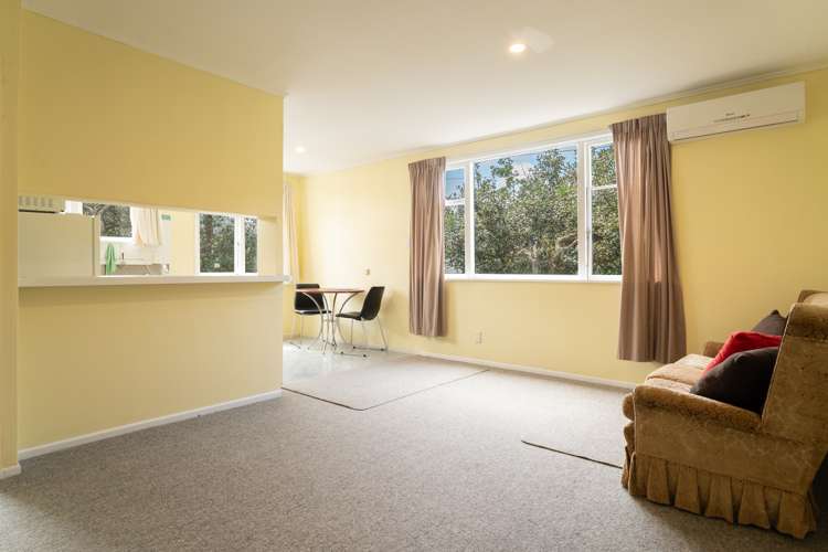 40 Calcutta Street Khandallah_18