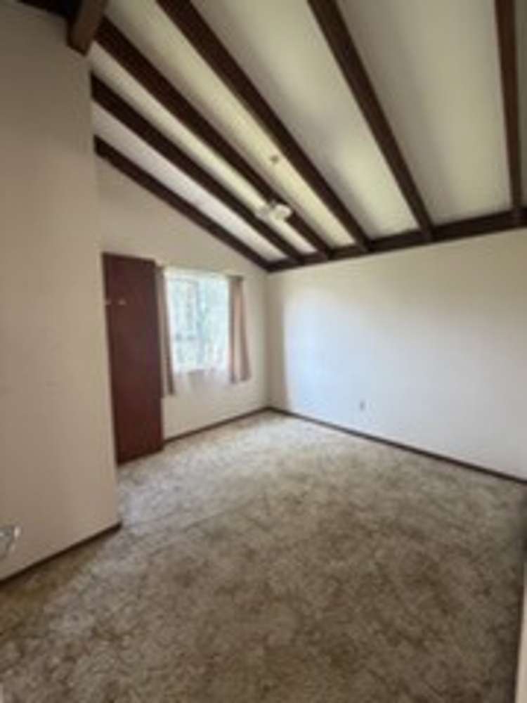 1 Solander Street Tolaga Bay_2