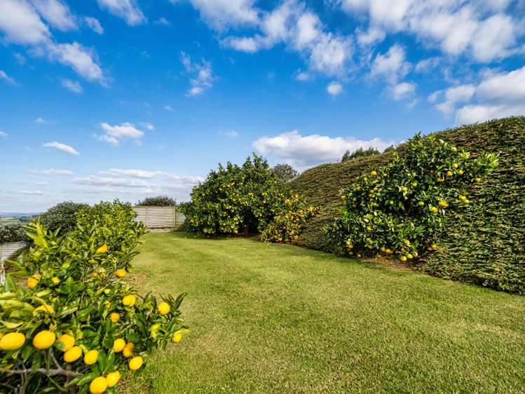 265A Hot Springs Road Katikati_38