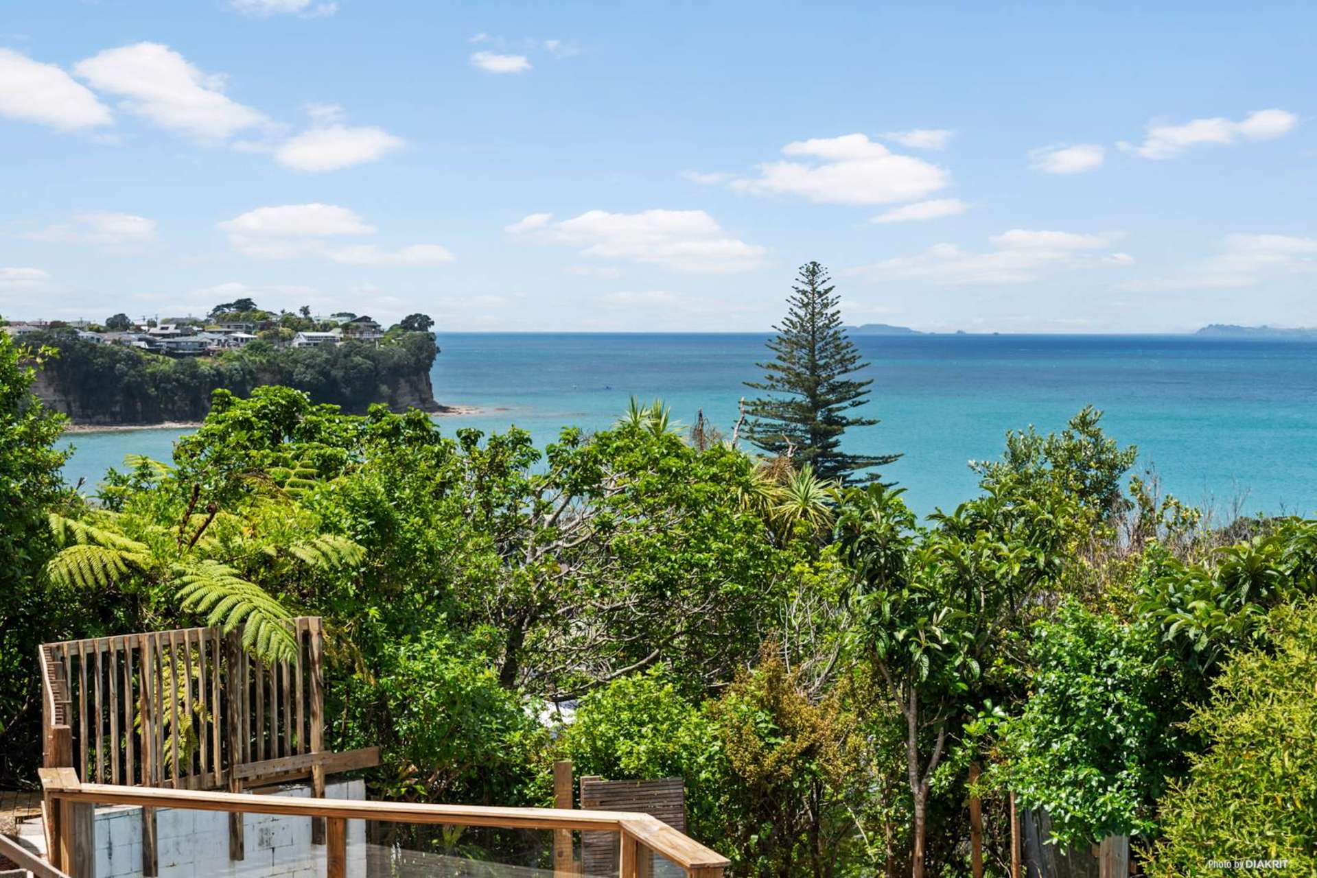 14 Cochrane Avenue Arkles Bay_0