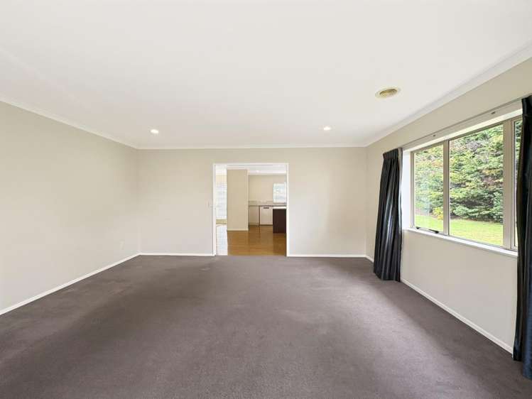 29 Nikau Street 1230_7