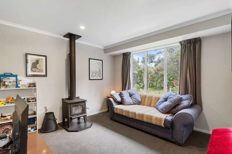 32b Punga Punga Road Pukekawa_7