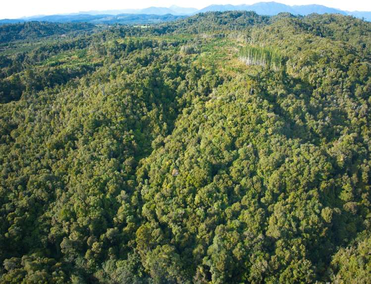 330 Rutherglen Road Marsden_34