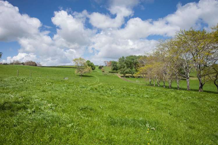 80 Paratu Road Richmond Downs_1