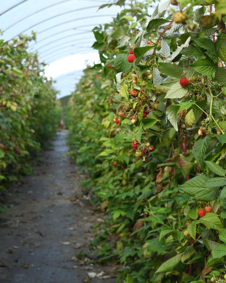 162 Pukeatua Road Maungatapere_15