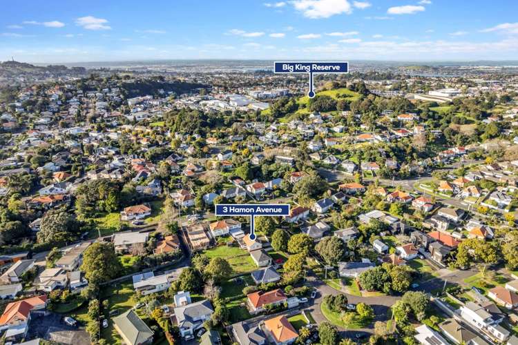 3 Hamon Avenue Mount Roskill_23