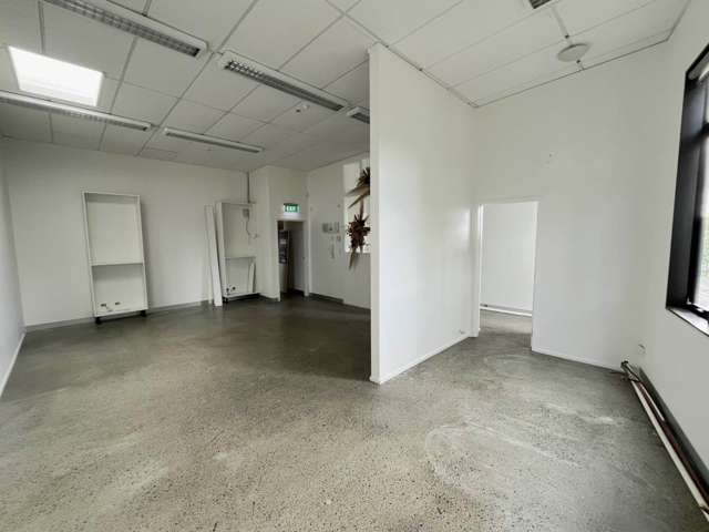 483 Richmond Road Grey Lynn_2