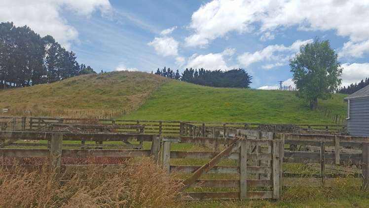 729 Midland Road Bunnythorpe_6