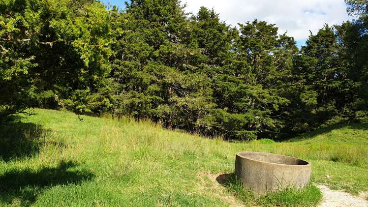 Lot 2/347 Porter Road Paparoa_15