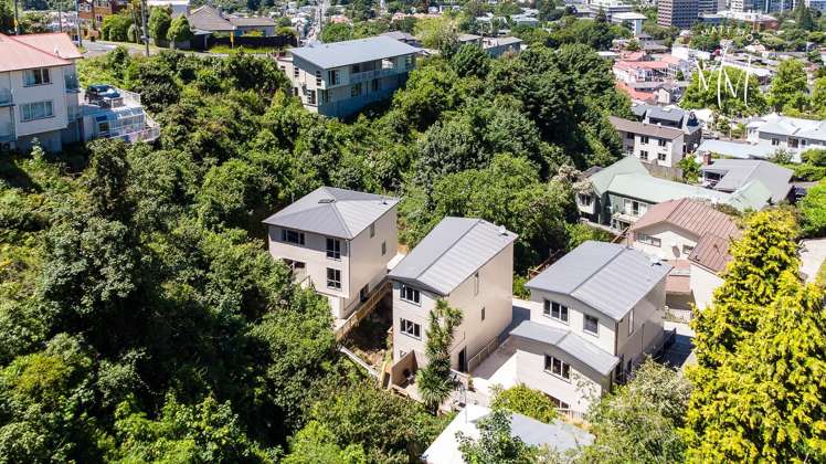 16a Cosy Dell Road North Dunedin_18