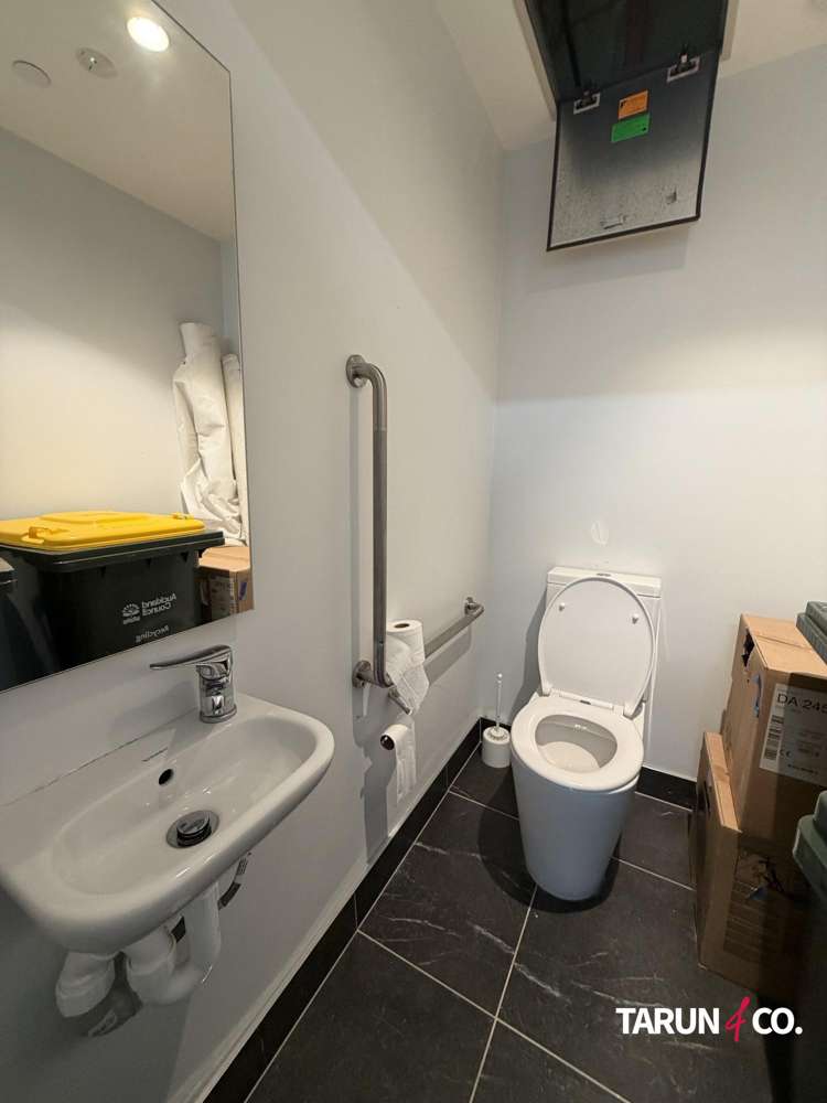 17A Crummer Road Grey Lynn_7
