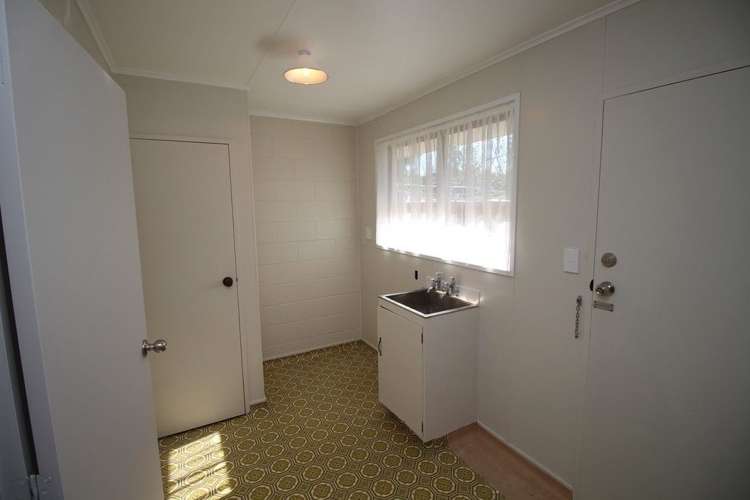 136e High Street Bulls_13